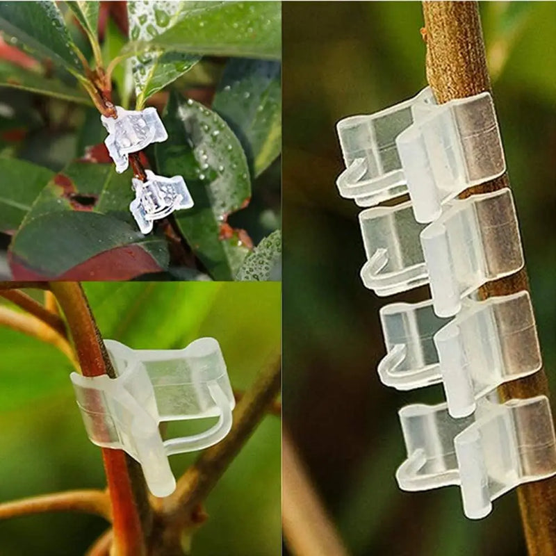 100PCS Plant Grafting Clips Mini Plastic Vegetable Fruits Plant Vine Bind Clamps Fruits Seeding Supports Connector Fixing Clips