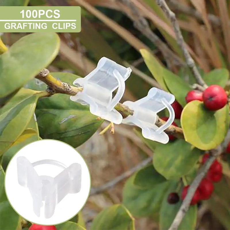 100PCS Plant Grafting Clips Mini Plastic Vegetable Fruits Plant Vine Bind Clamps Fruits Seeding Supports Connector Fixing Clips