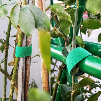 Green Garden Twine Plant Ties Nylon Plant Bandage Garden Hook Loop Bamboo Cane Wrap Support Garden Accessories