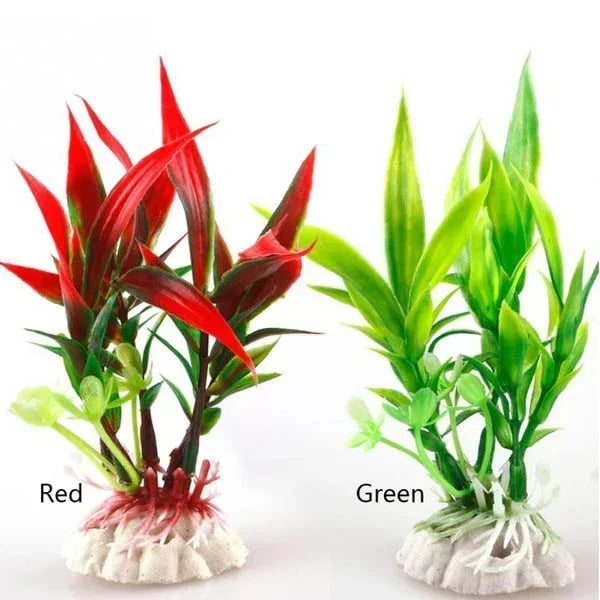 Delysia King  11 cm Fish tank landscaping simulation plants