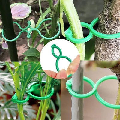 50/100Pc Garden Plant Clips For Vegetable Growing Upright Plant Holder Green Plastic Bundled Ring Garden Stand Tool Vine Support