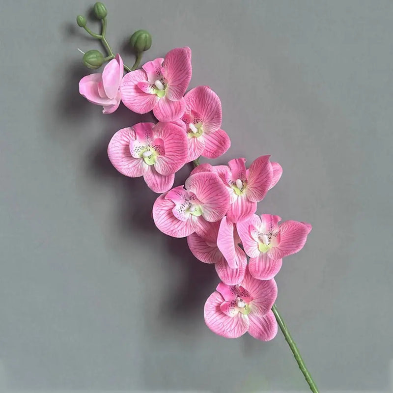 Wedding Decoration 9-Heads Silk Flower Simulation Butterfly Orchid Artificial Flower 3D Phalaenopsis Real Touch Plants