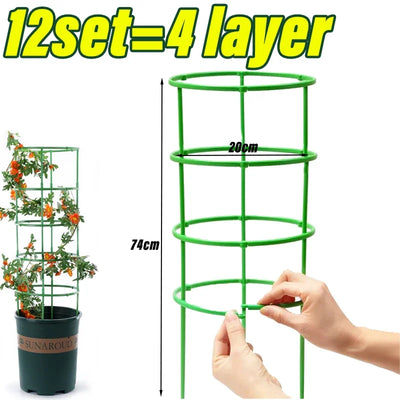 Green Plant Support Pile Frame Greenhouse Arrangement Semicircle Fixed Rod Indoor Flower Plants Vine Climbing Bracket Hock Pen