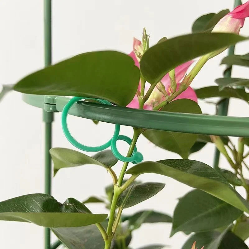 50/100Pcs Plastic Garden Vine Strapping Clips Tie Plant Bundled Buckle Ring Garden Tomato Grapevine Hook Plants Support Tools