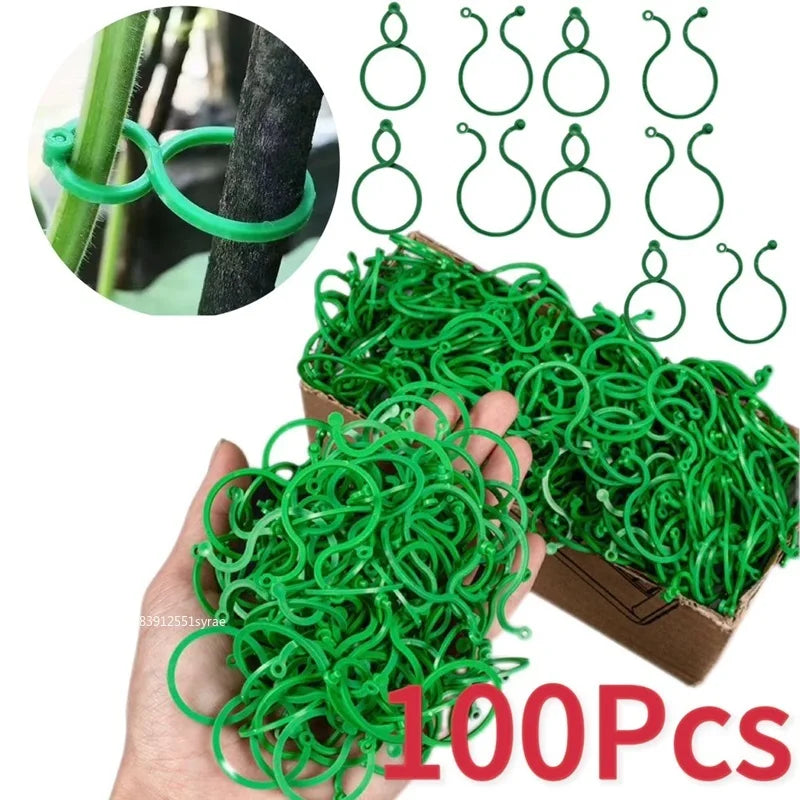 50/100Pcs Plastic Garden Vine Strapping Clips Tie Plant Bundled Buckle Ring Garden Tomato Grapevine Hook Plants Support Tools