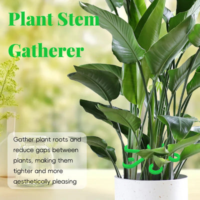 4PCS Reusable Plant Stem Folding Frame Garden Tools No Stake Trellis Plant Stem Support Support Branches Stem Organizer