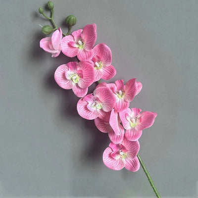 Wedding Decoration 9-Heads Silk Flower Simulation Butterfly Orchid Artificial Flower 3D Phalaenopsis Real Touch Plants