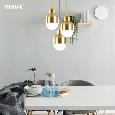 Nordic Led Pendant Lights Ceiling Clothing Home Decoration Acrylic Ball Lamp For Living Room Bedroom Dining Room Lamp Fixtures