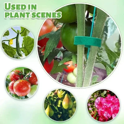 Self Adhesive Plant Nylon Cable Tie Green Adjustable Plants Hook Loop Support Garden Twine Bandage Reusable Fastener Tape Strips