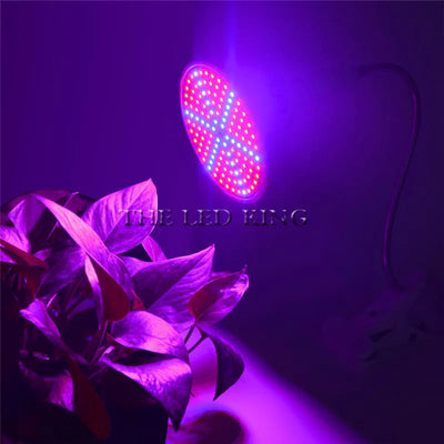 300 200 led Phytolamp Full Spectrum LED Grow Light E27 Phyto Lamp for Plants Plant Lamp for Seedlings Flower Fitolamp Grow Tent